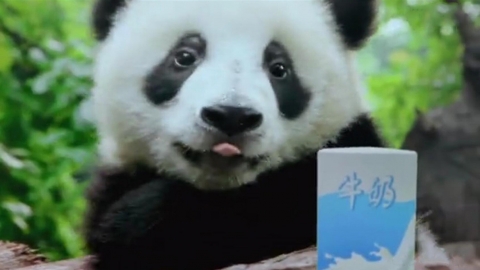 TetraPak_Panda_利樂包