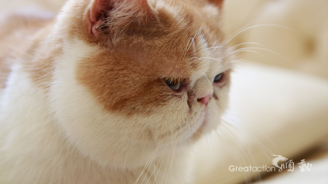 林內(nèi)熱水器拍攝花絮